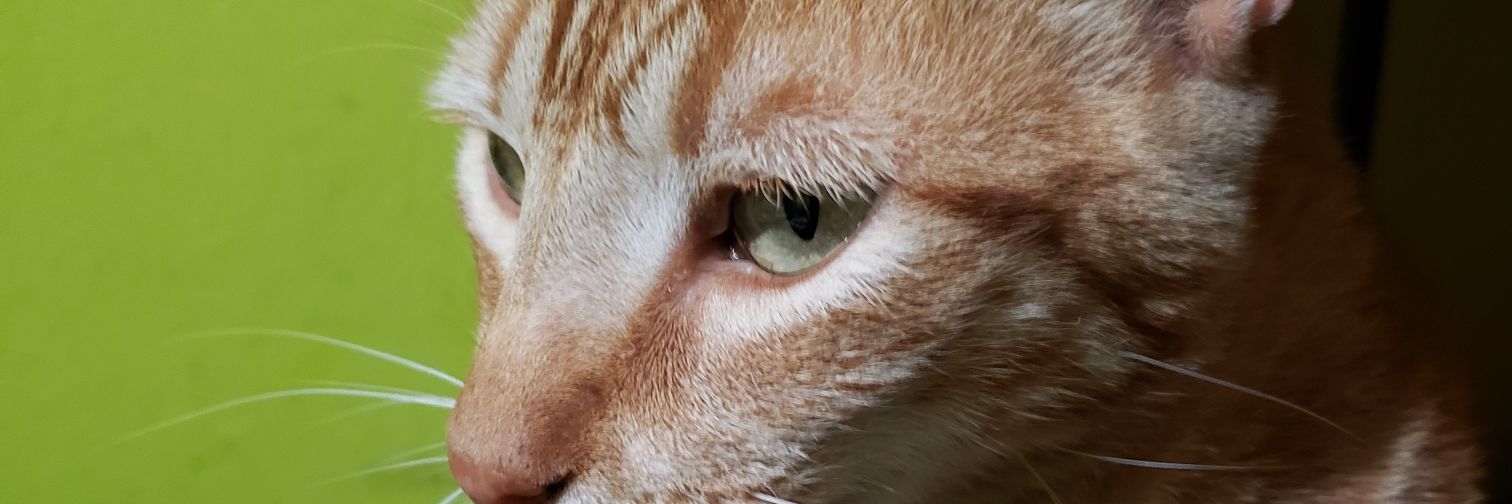 aldof1507's profile banner image