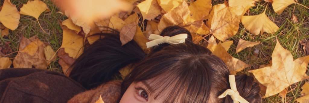 ぽぽちゃのヘッダー画像