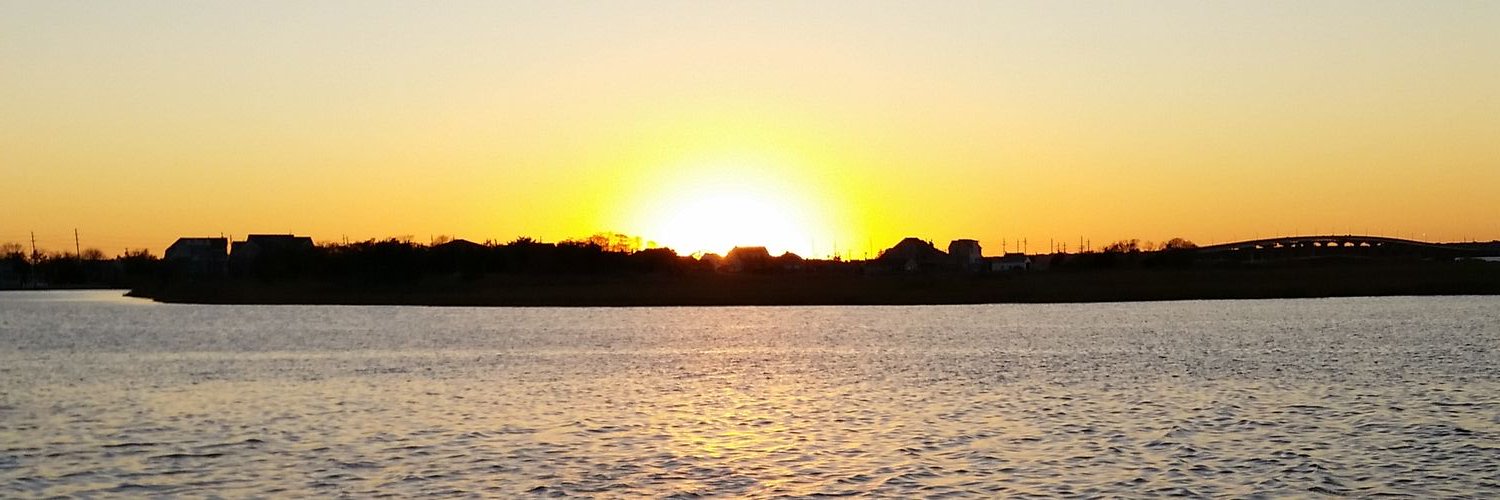 toridellapietro's profile banner image