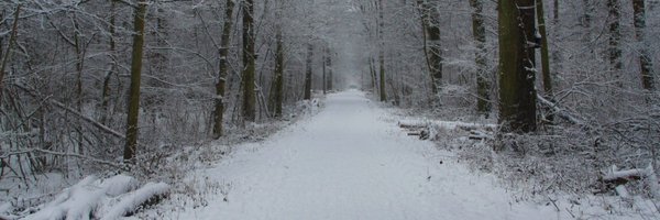 FloofyHawk Profile Banner