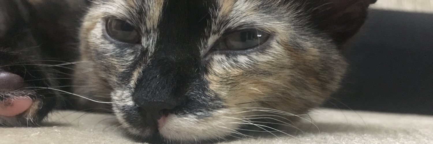 NoobyNuga's profile banner image