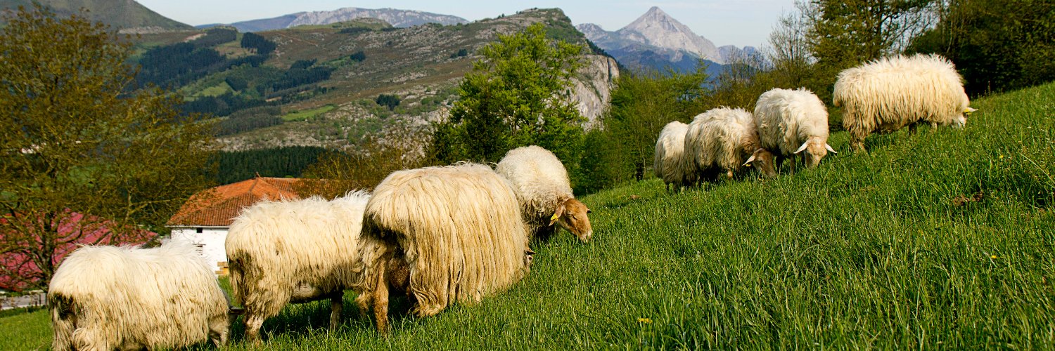 Gomiztegi Koop banner