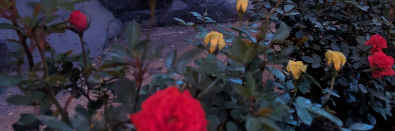 chermonde21's profile banner image