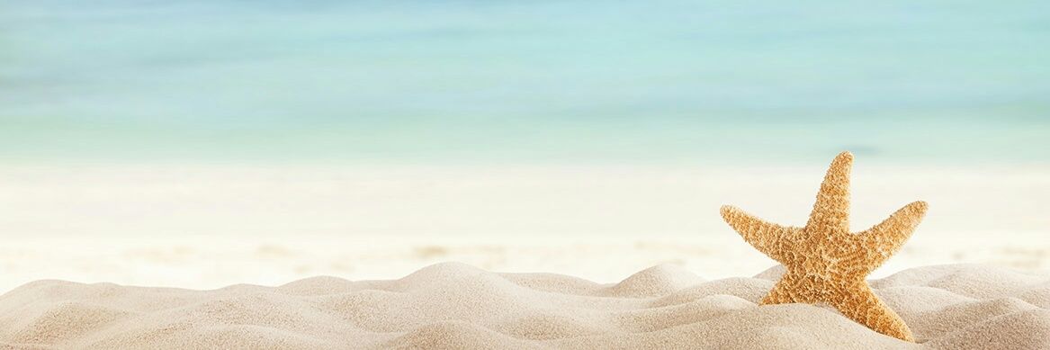 denyssesanchez's profile banner image