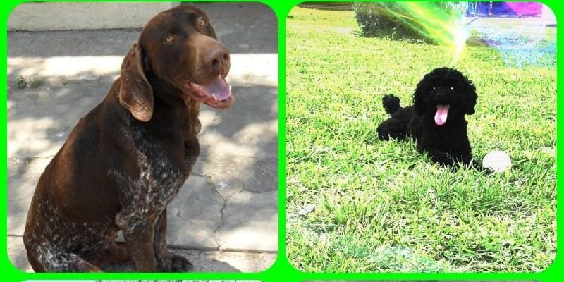 olivera_86's profile banner image