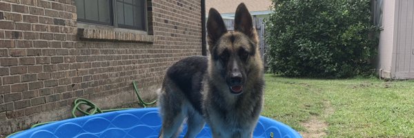 Mainoh_ Profile Banner