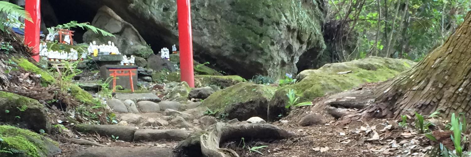 pecotarian's profile banner image