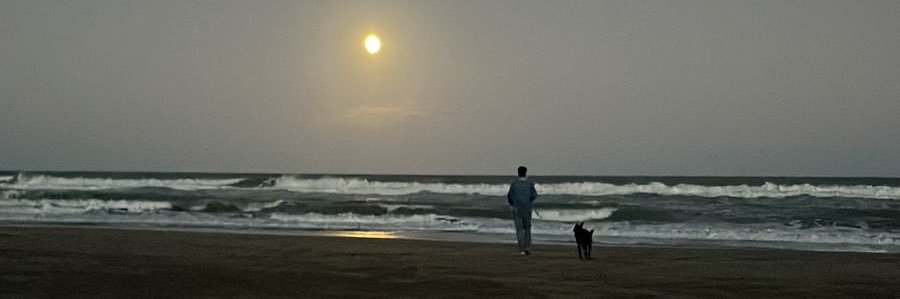 fedeabbene's profile banner image