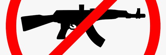 Gabriel Kuchkon🇸🇸🌿 banner