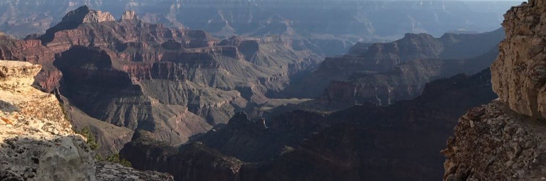 sernad31's profile banner image