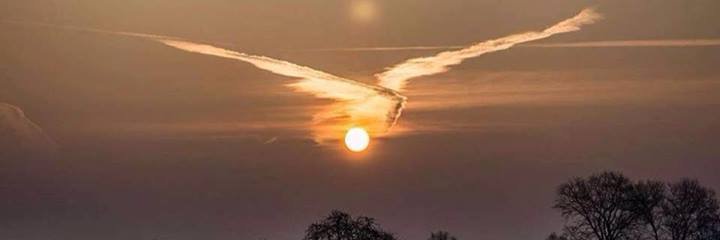 MarcoGoldoni's profile banner image