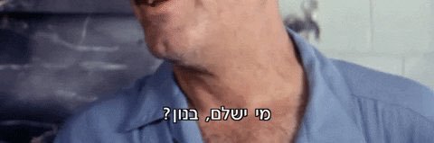 טליה בנון צור🎗️'s banner