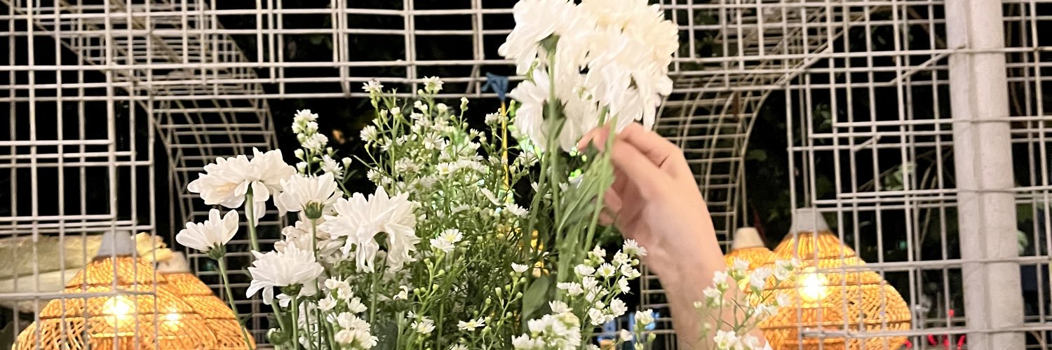 𝐡𝐚𝐧 ༺❀༻━━━━≾ banner