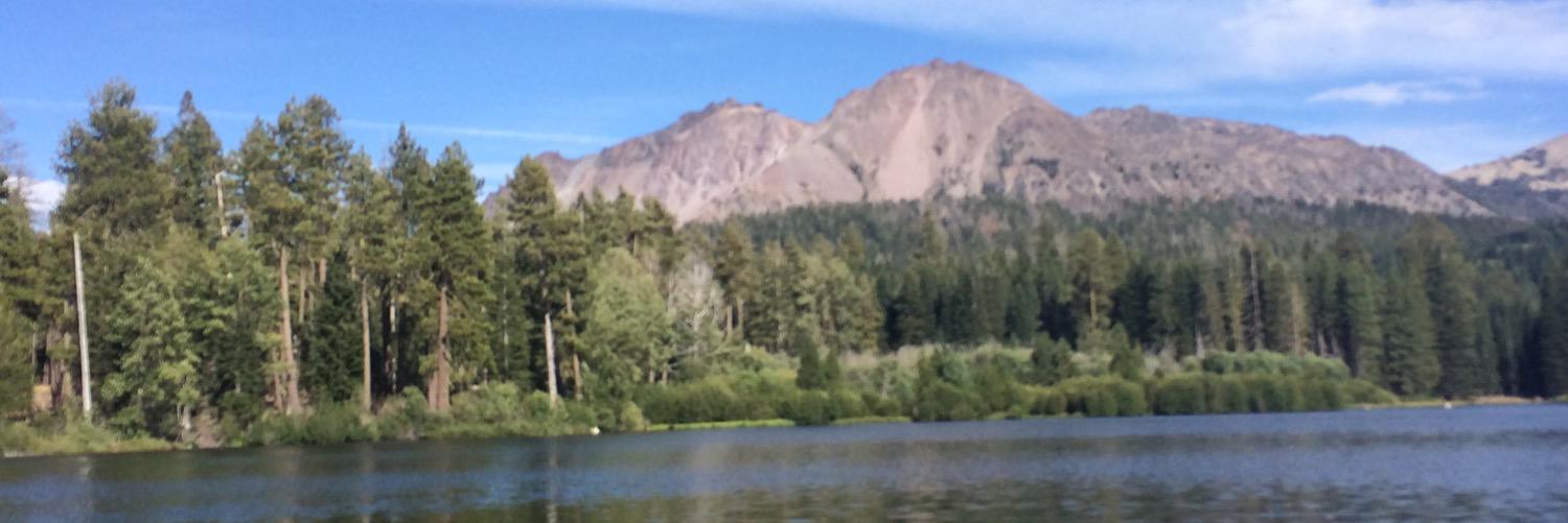 robertsand15's profile banner image