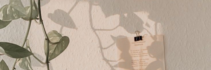 BooR1119's profile banner image