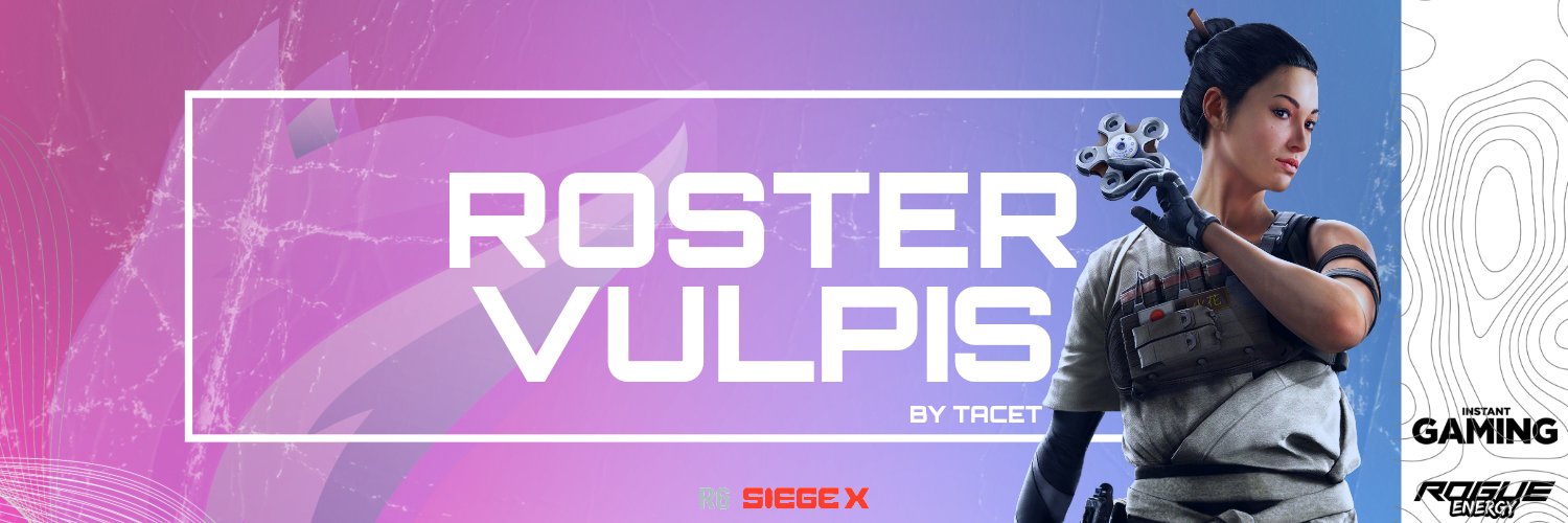 VULPIS 🩷💙 banner
