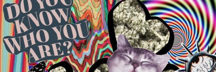 capucci banner