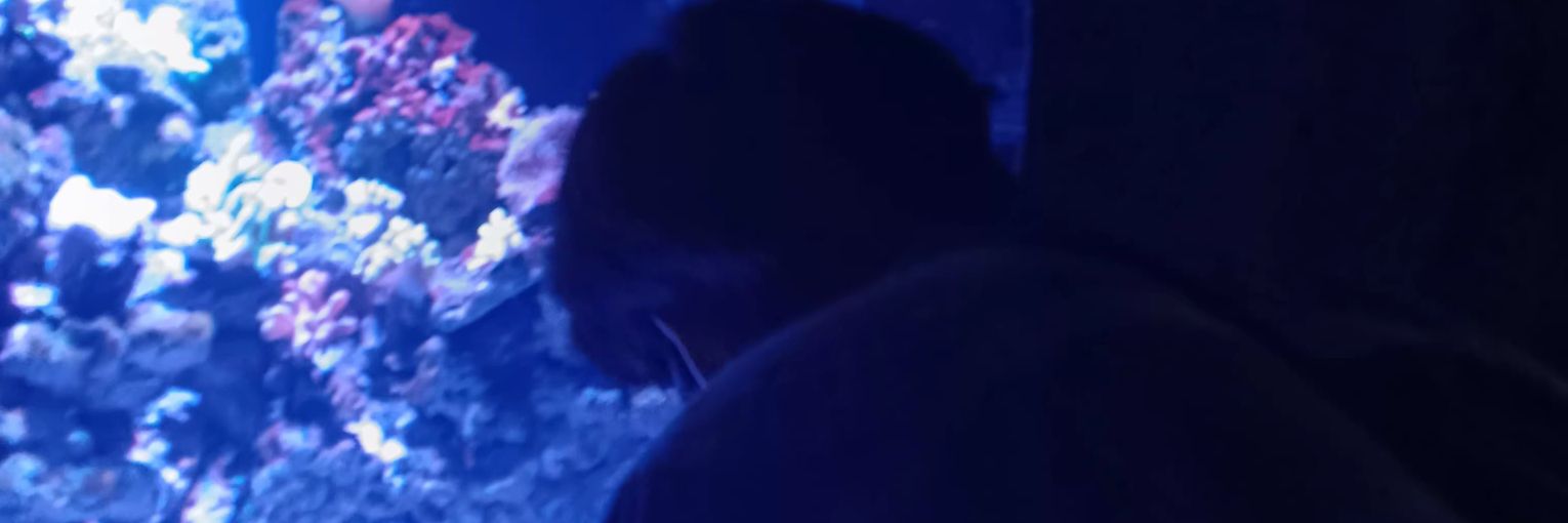 𝑀 ◺◊◿ banner