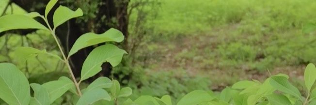 ReemLADY2013's profile banner image