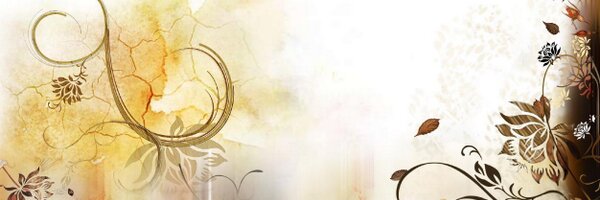 vizzor Profile Banner