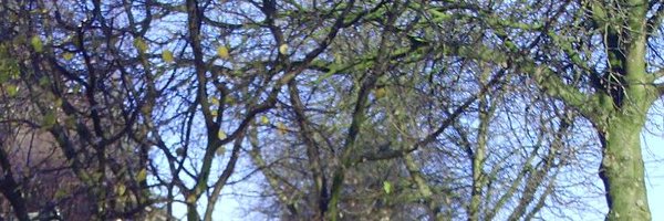 DrAndreMoller Profile Banner