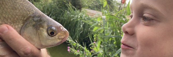 mslawson72 Profile Banner