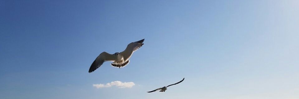tongiltrain's profile banner image