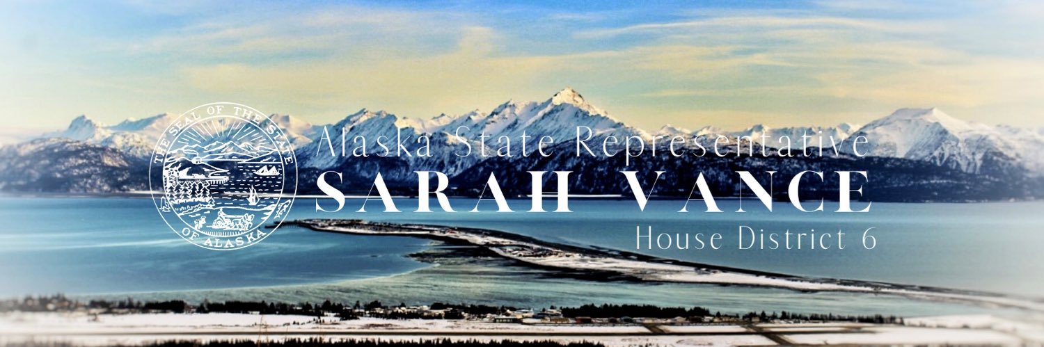 Rep. Sarah Vance's banner