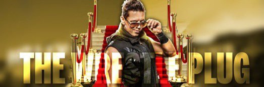 The Wrestle Plug's banner