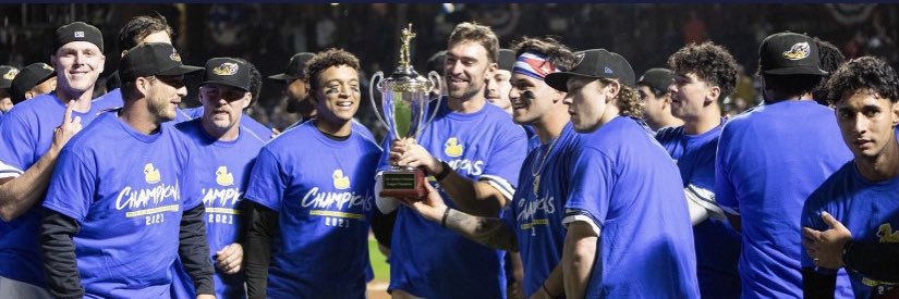 Tavin McCully banner