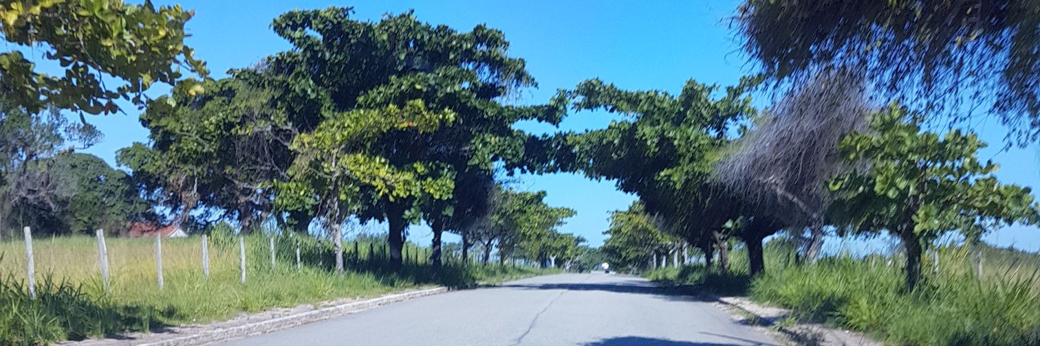 digolcarvalho's profile banner image