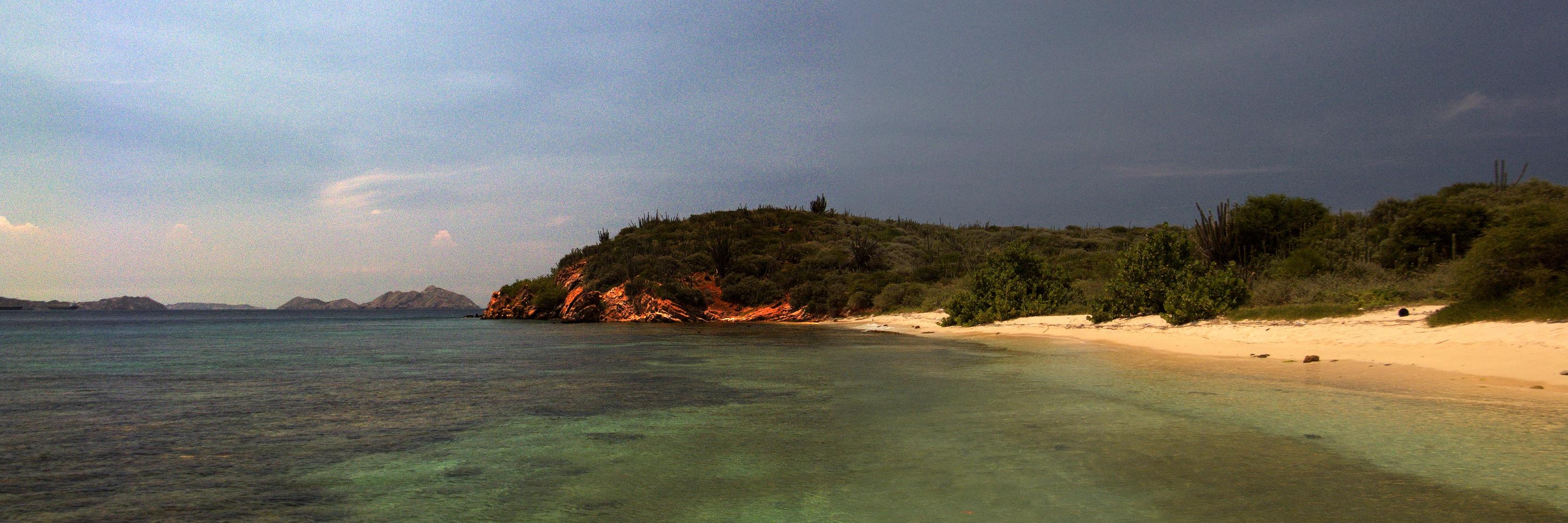 Fundación La Tortuga banner