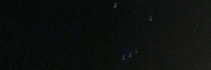 🎀 banner