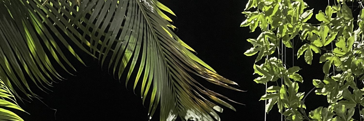 paris_mtz's profile banner image