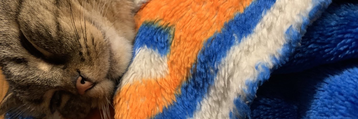 Doggy Wiggle banner
