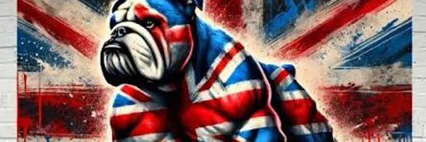 lsnaggur Profile Banner