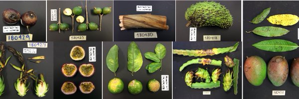 ClinicPlant Profile Banner