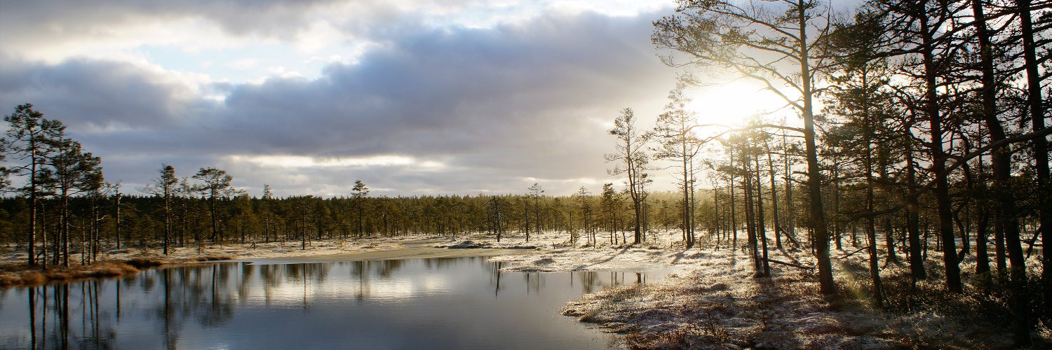 bjerghest's profile banner image