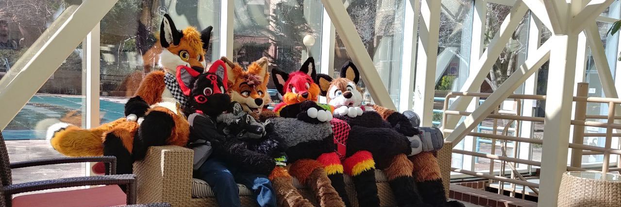 Largo_wolf's profile banner image