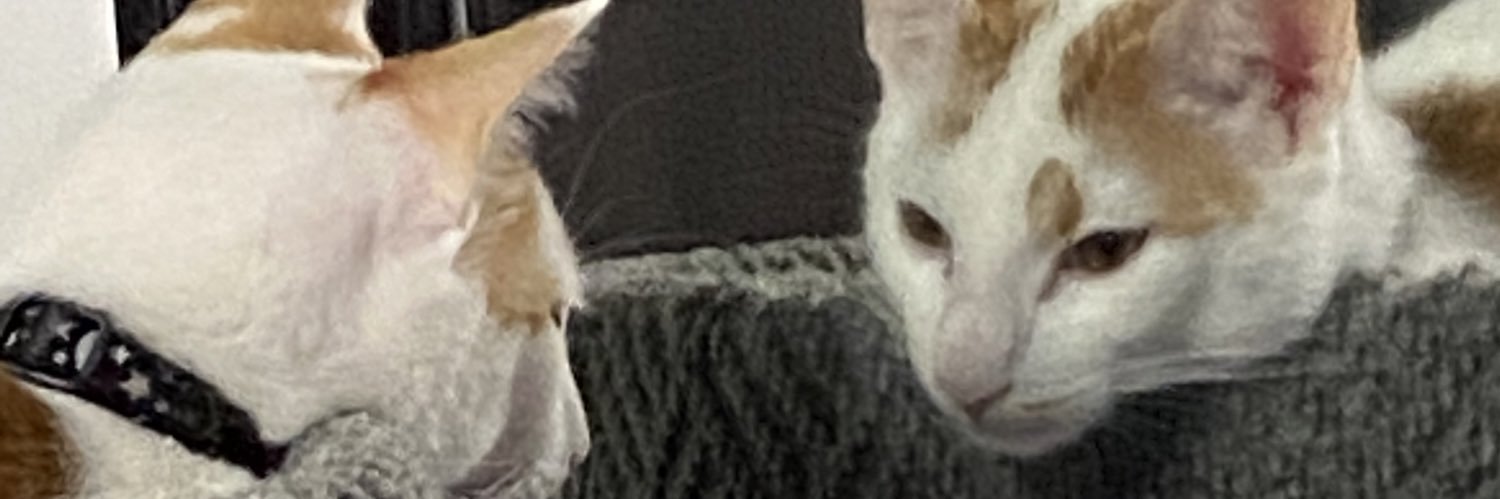 j4ybee1's profile banner image