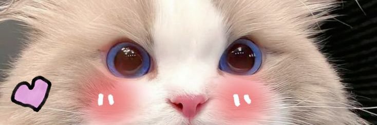 wswdd23's profile banner image