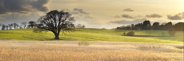 LMValentino14's profile banner image