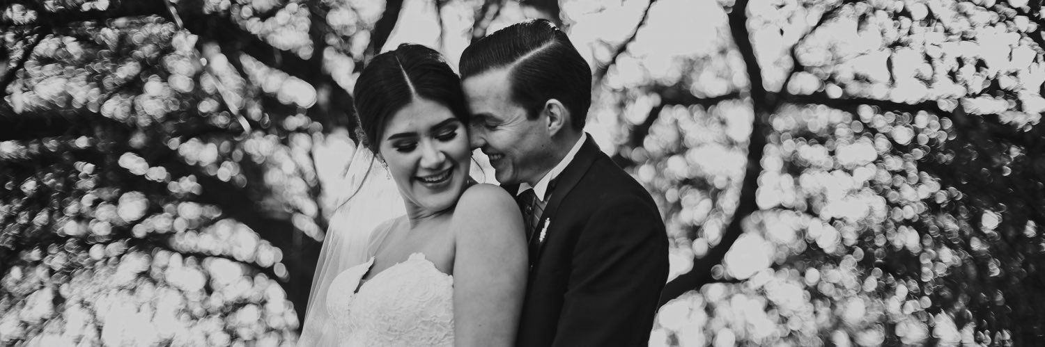 Celeste Castilla banner