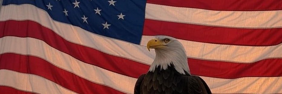 bitdemic's profile banner image