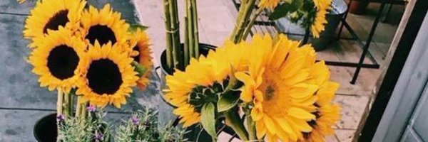gonesh94 Profile Banner