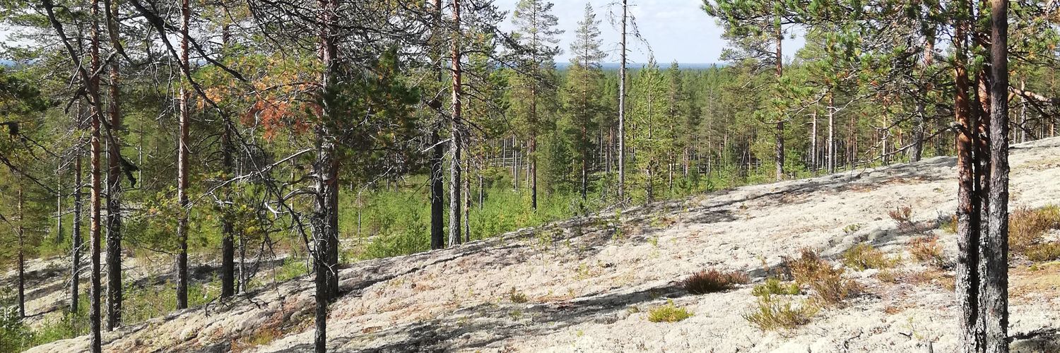 KristaAhl's profile banner image
