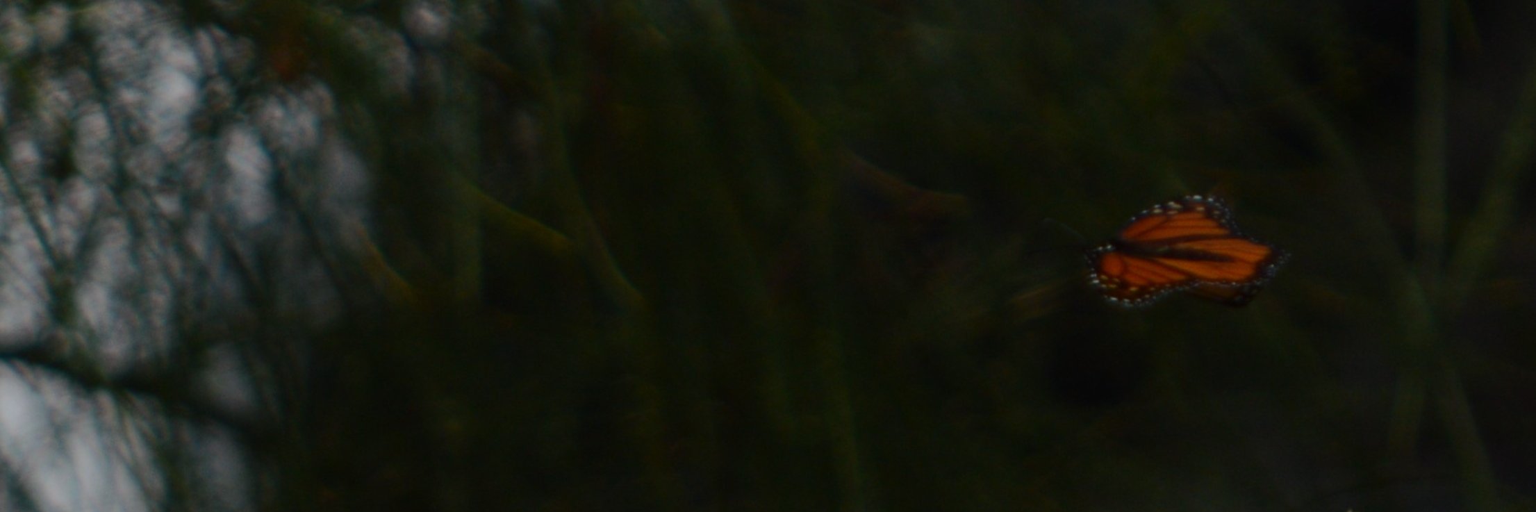 cuitla30's profile banner image