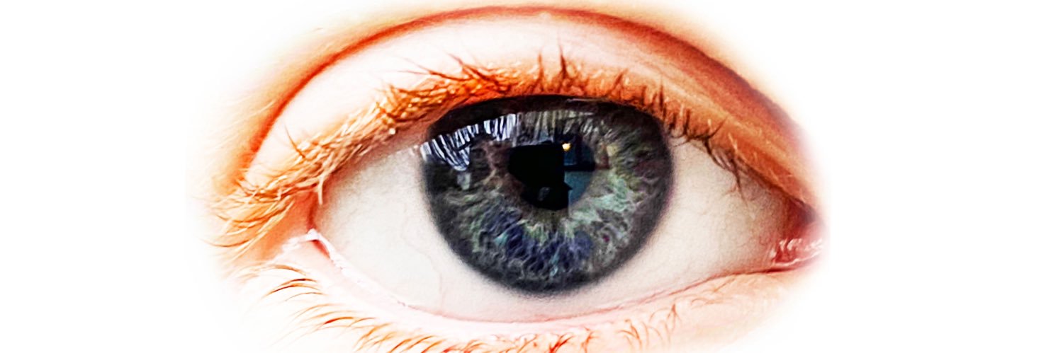 Climate Zombies - Synthpop Band banner