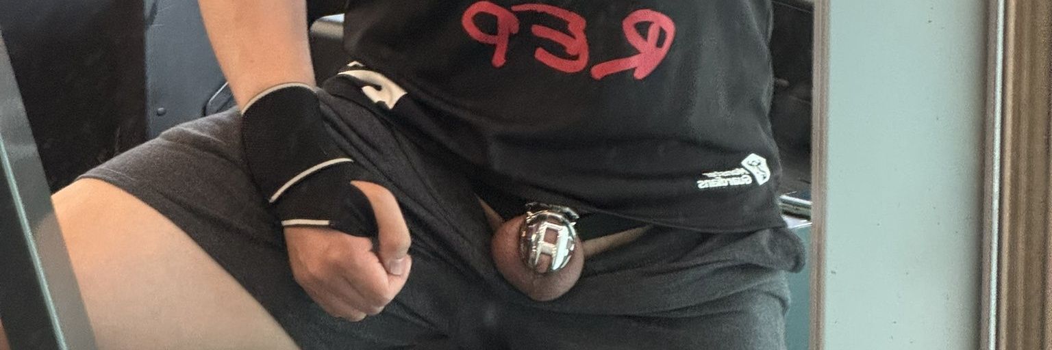 军犬Halo!⭕ banner