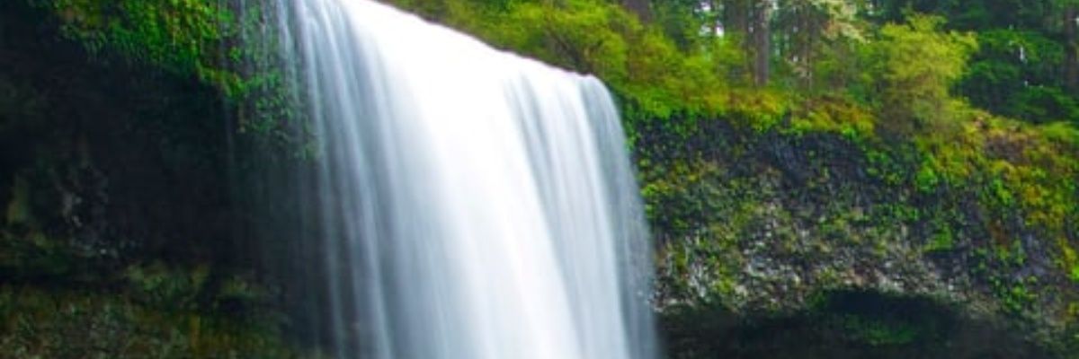 Kuriastep's profile banner image